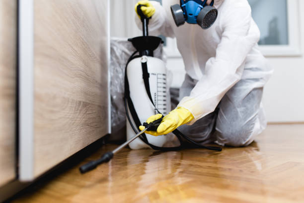 Best Mosquito Control Services  in Fraser, MI