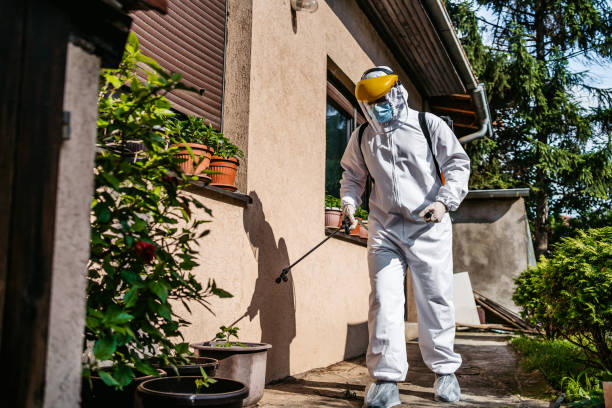 Best Wasp Removal Services  in Fraser, MI