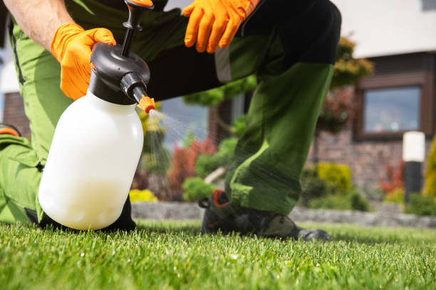 Best Pest Control Near Me  in Fraser, MI