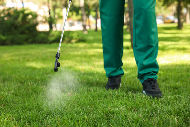 Best Commercial Pest Control Services  in Fraser, MI