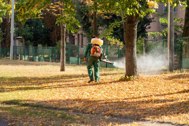 Best Residential Pest Control  in Fraser, MI