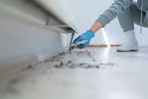 Best Exterminator Services  in Fraser, MI